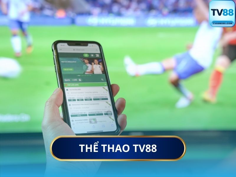 Tại Sao Nên Chọn Cá Cược Thể Thao Tại TV88